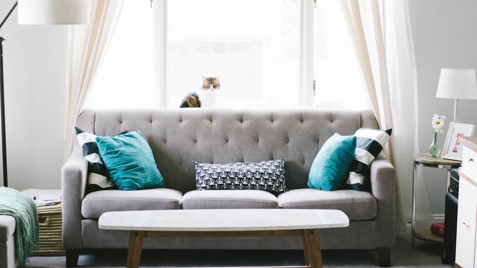 How to Remove Embedded Pet Hair from Upholstery: Product Proof Buyers Trust