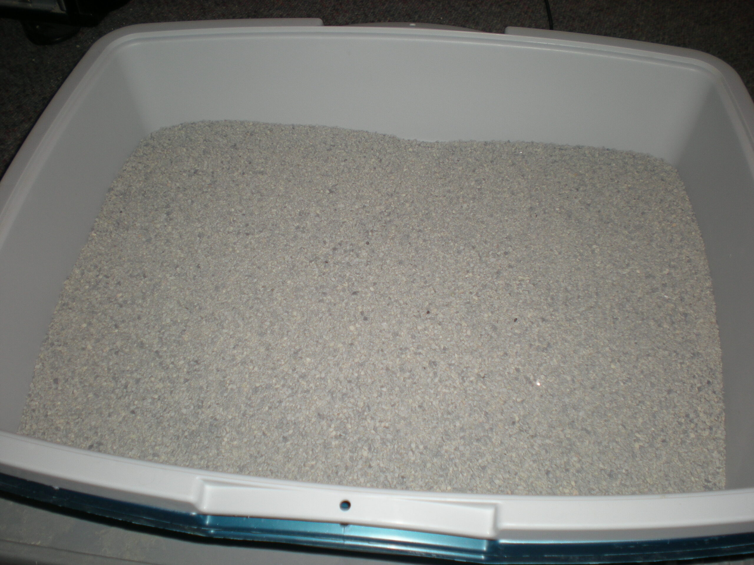 Where to Put an Air Purifier for a Litter Box: Placement, Filter Type, and Mistakes