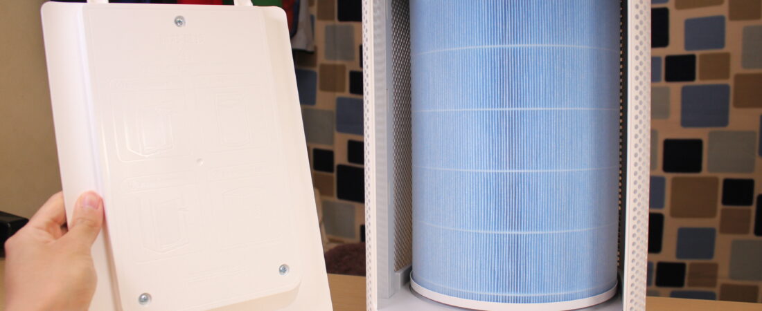 HEPA vs Carbon Filter for Pets: Which One Matters for Dander, Dust, and Smell?
