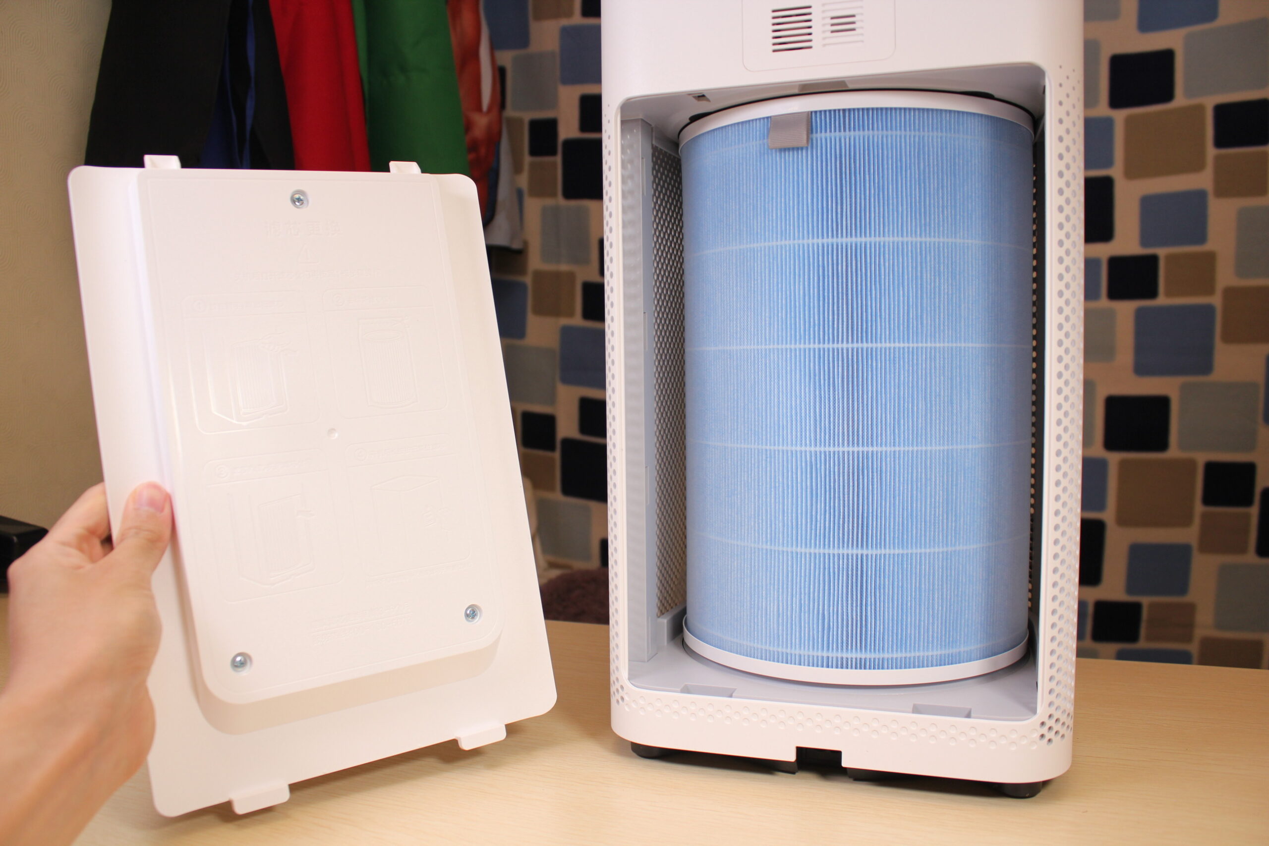 HEPA vs Carbon Filter for Pets: Which One Matters for Dander, Dust, and Smell?