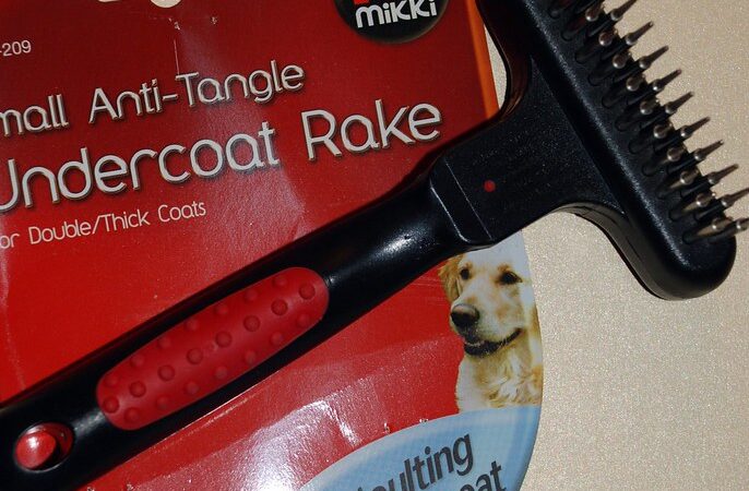 Slicker Brush vs Deshedding Tool: Which Is Better for Dog Shedding?