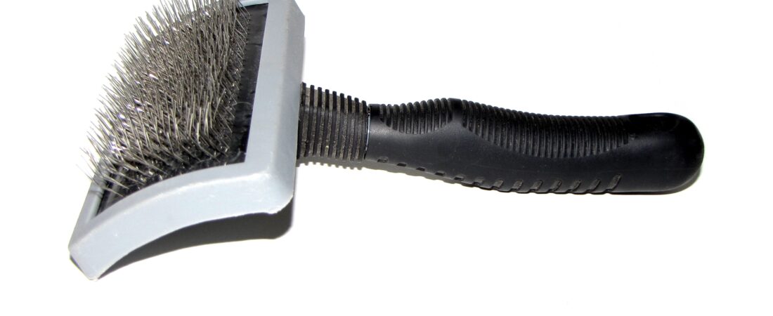 Best Brush for Double-Coated Dogs: Slicker, Rake, or Deshedding Tool?