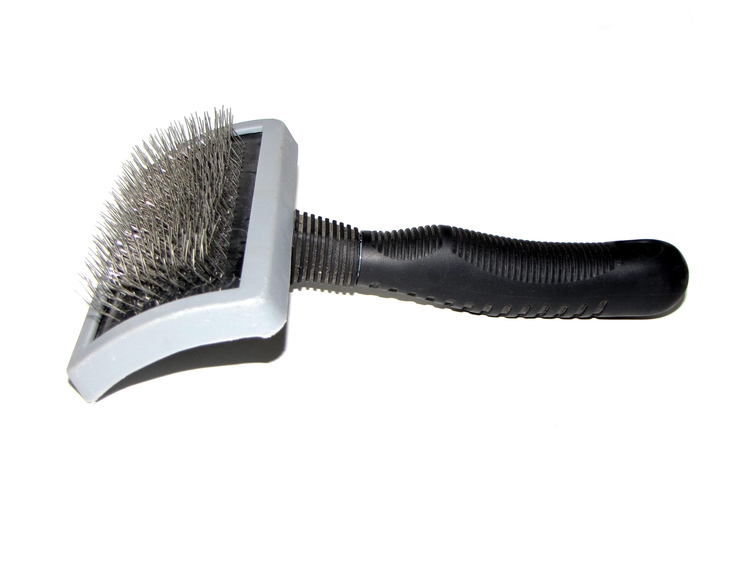 Best Brush for Double-Coated Dogs: Slicker, Rake, or Deshedding Tool?