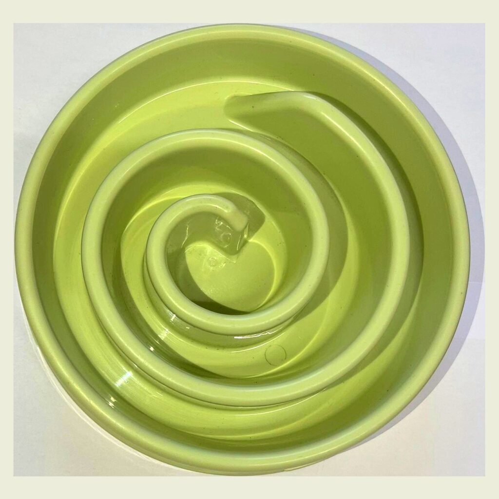 Dog food bowl for an IAMS dog food review summary