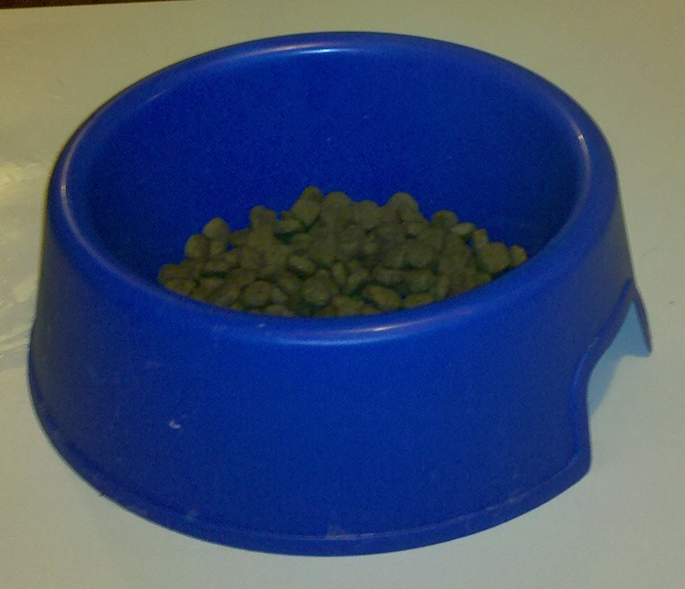Dog food bowl for buyer signal research report