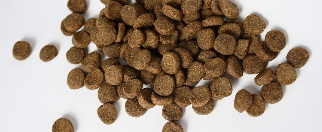 Purina Pro Plan vs Hill’s Science Diet for Sensitive Stomach Dogs