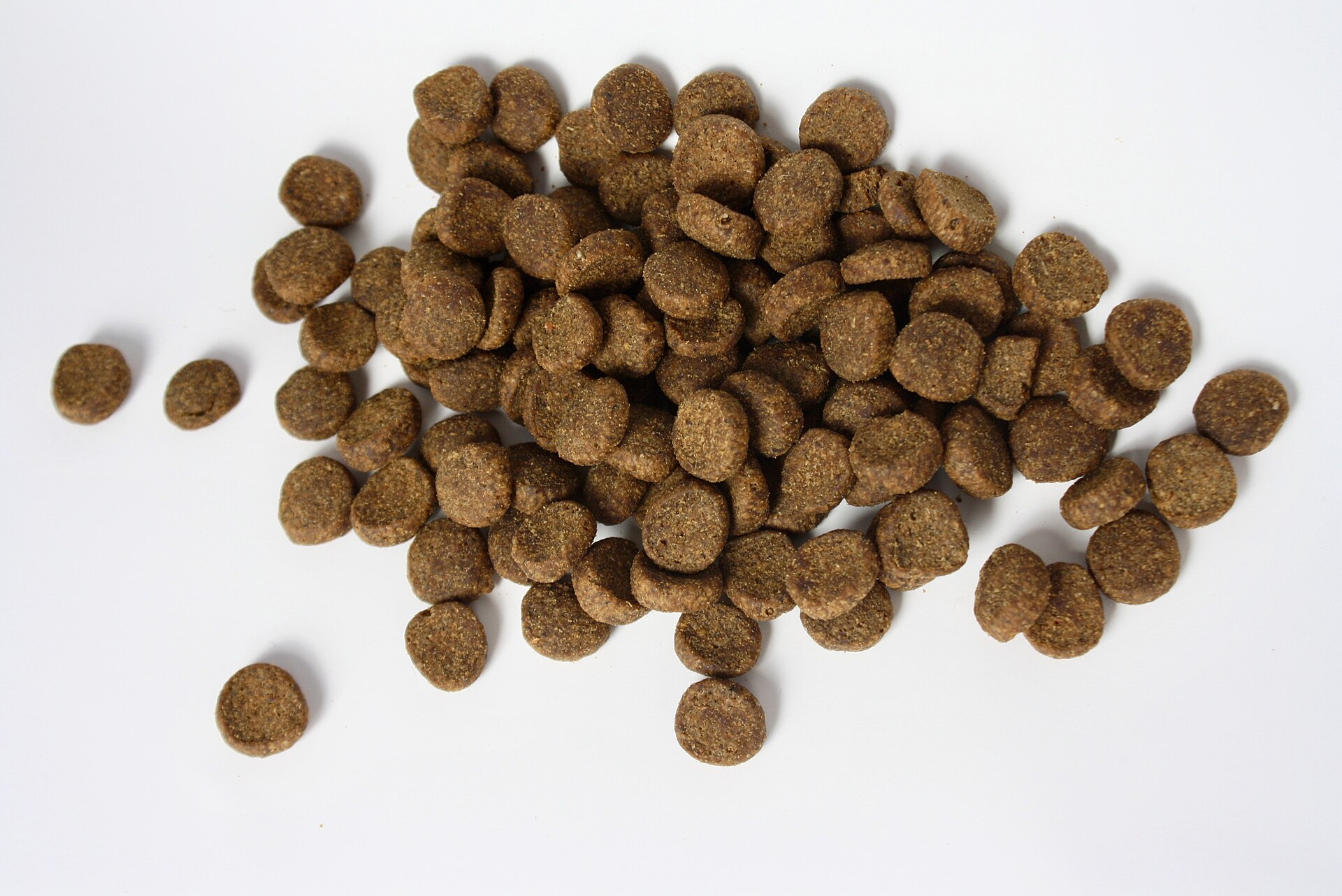 Purina Pro Plan vs Hill’s Science Diet for Sensitive Stomach Dogs